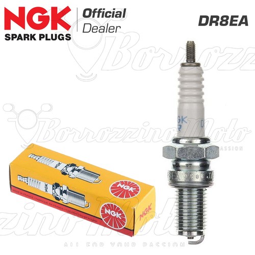 Spark plug ngk dr8ea - spark, original